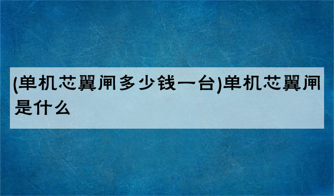 (单机芯翼闸多少钱一台)单机芯翼闸是什么